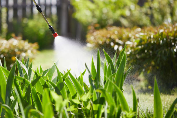 24/7 Emergency Mosquito Control experts in Nuevo, CA