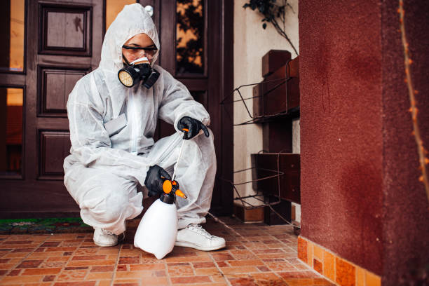 Reliable Mosquito Control contractor in Nuevo, CA by Show Me Pest Control